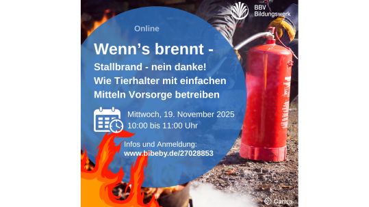 Online-Kurs Stallbrand Vorsorge für alle Tierhalter Online-Kurs Stallbrand Vorsorge für alle Tierhalter BBV Bildungswerk